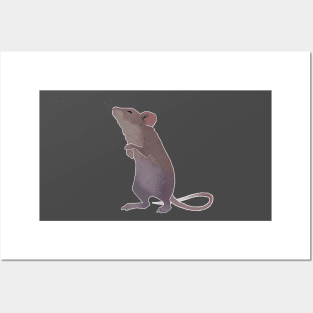 Grey Mouse Posters and Art